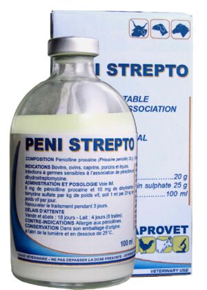 PENI-STREPTO-100ML