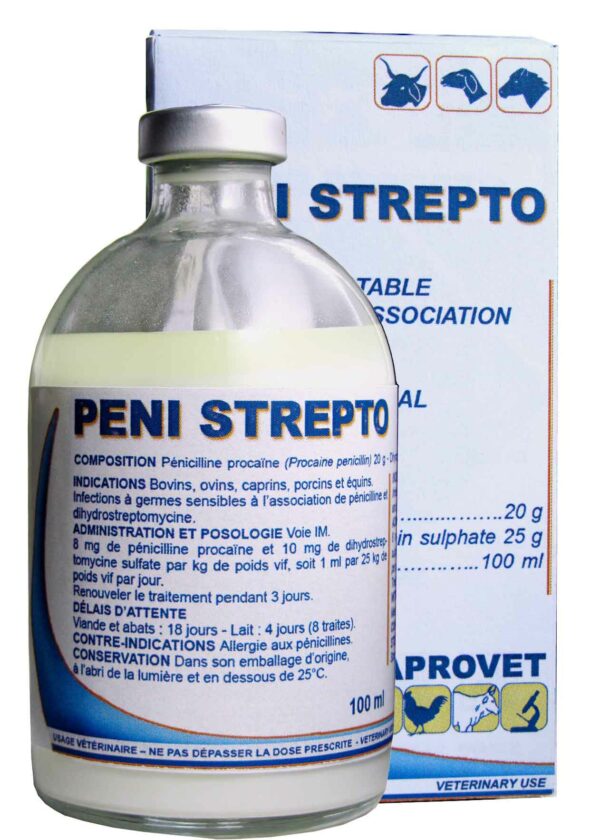 PENI-STREPTO-100ML
