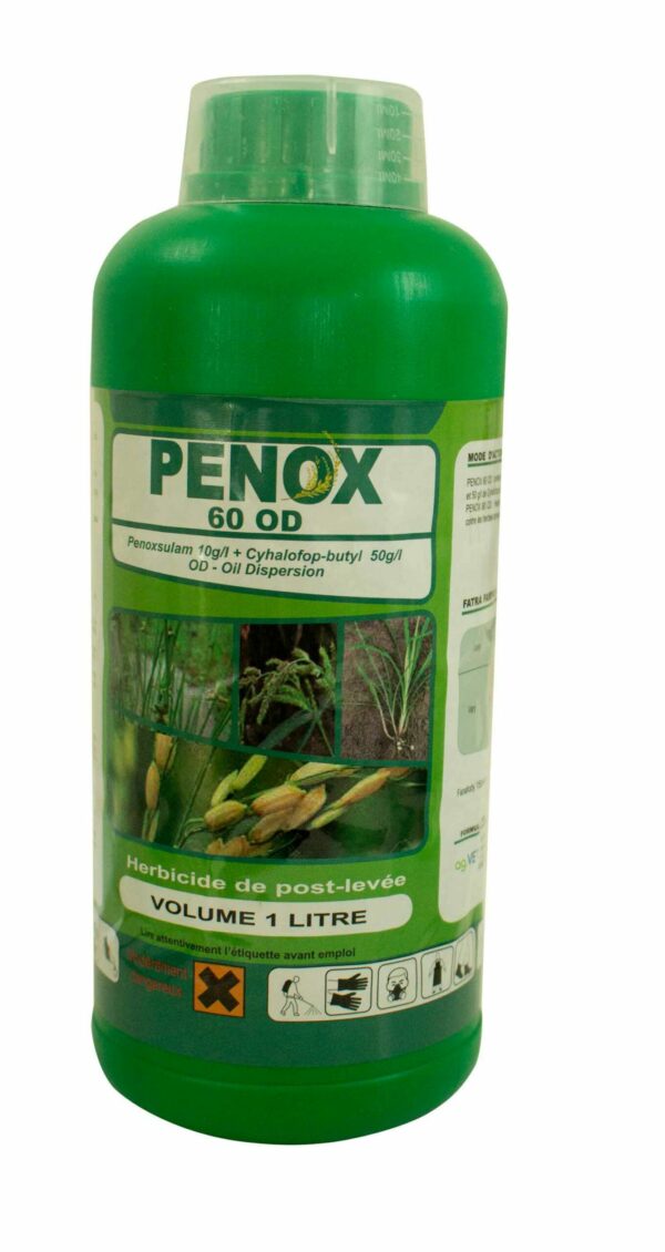 PENOX-60-OD-(BID-1L-)--L
