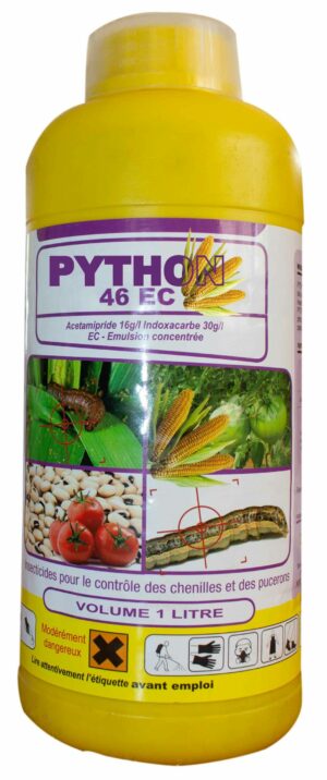 Python