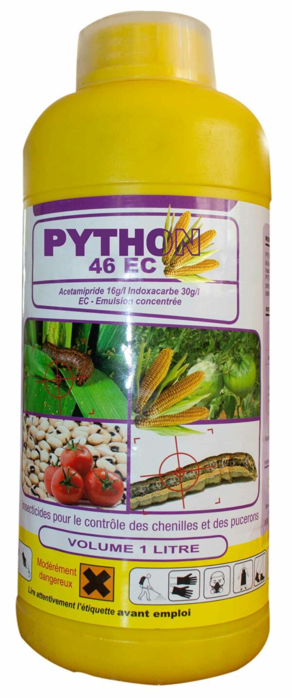 Python