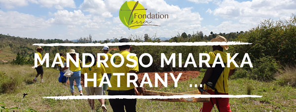 fondation Terra